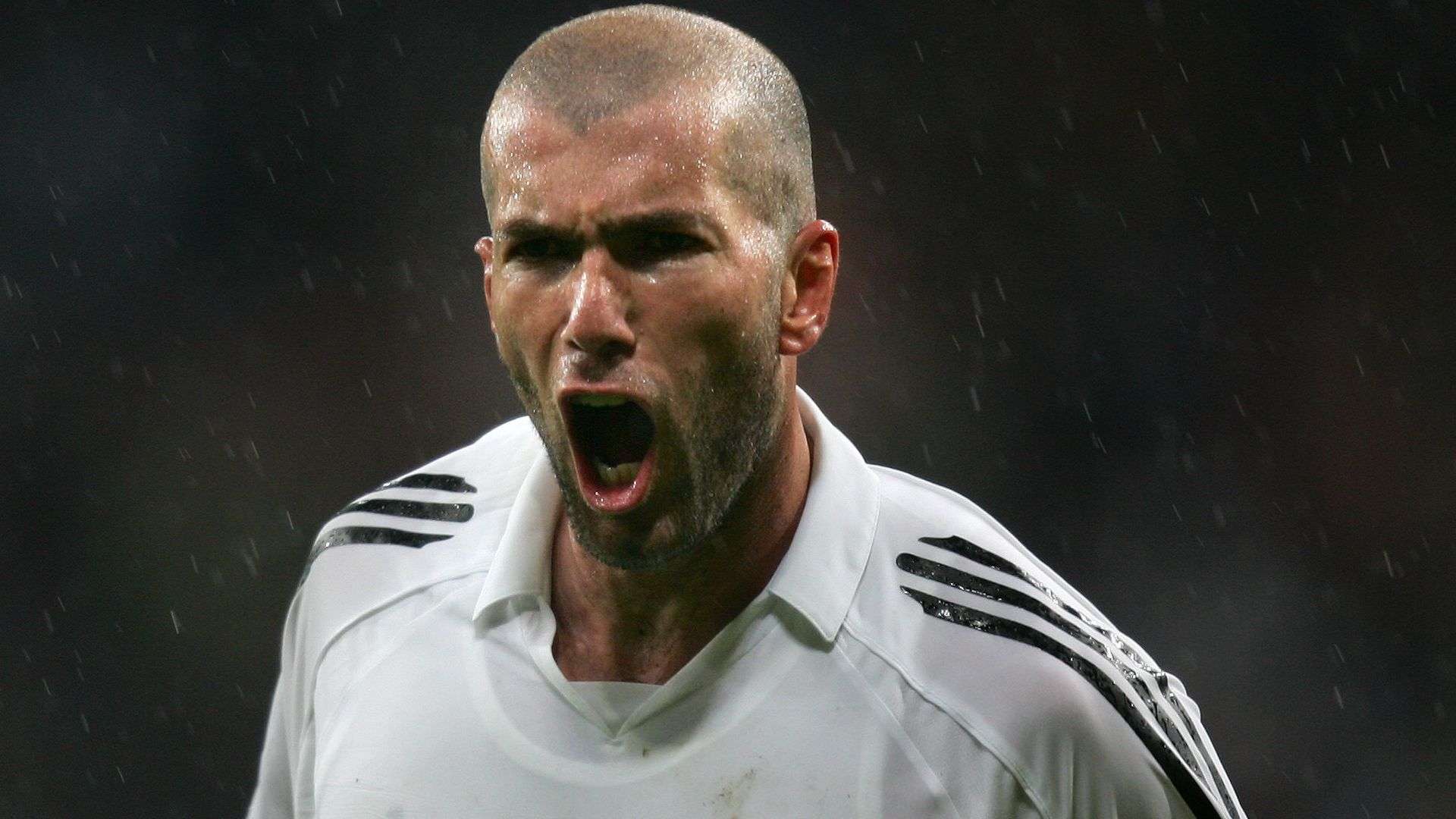 麥迪遜一人 麥迪遜一人